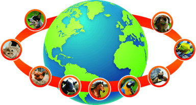 Agro Mundo Animal — Agropecuária e Ferragens em Itapema