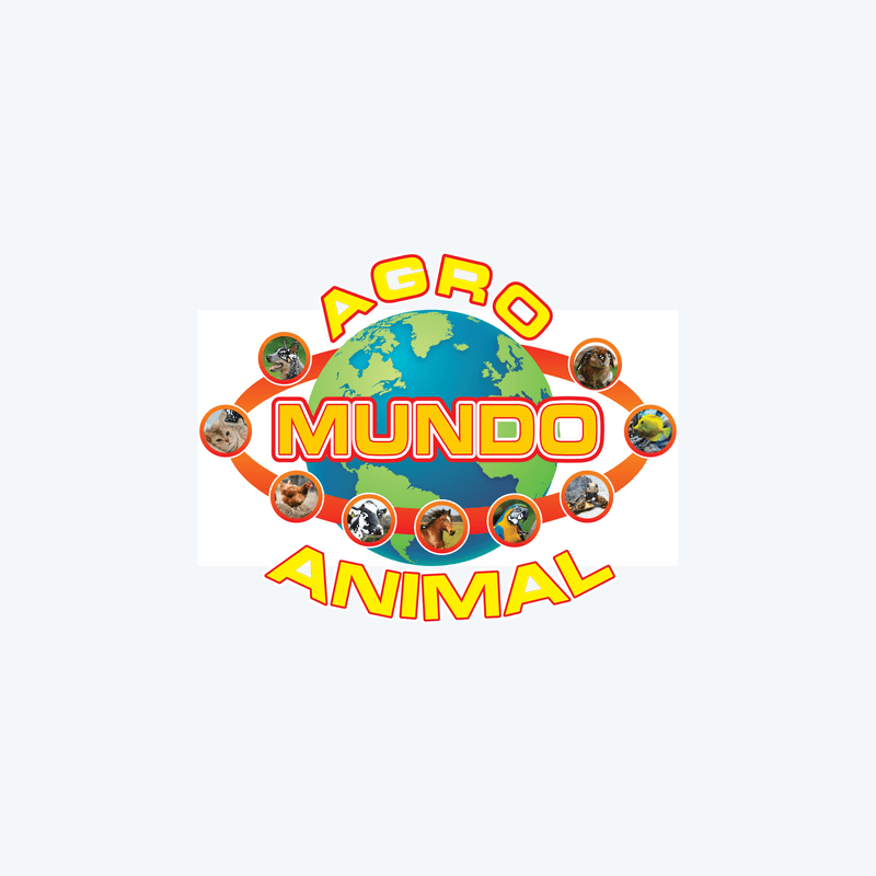 (mirtilo) Mudas Frutiferas Diversas