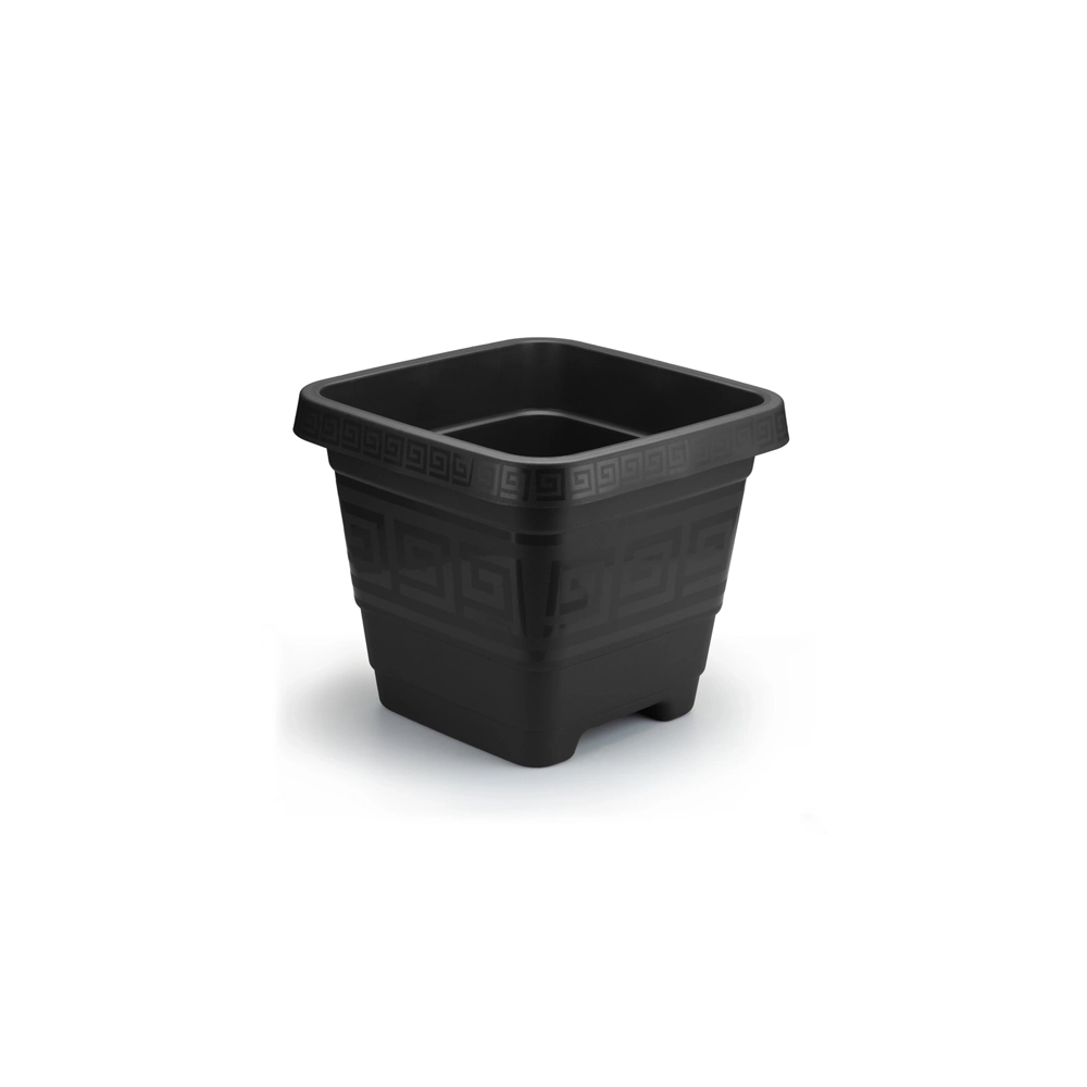 Vaso Quad P Pt 224 2,1l Plasmont